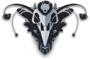 Shamans MLV