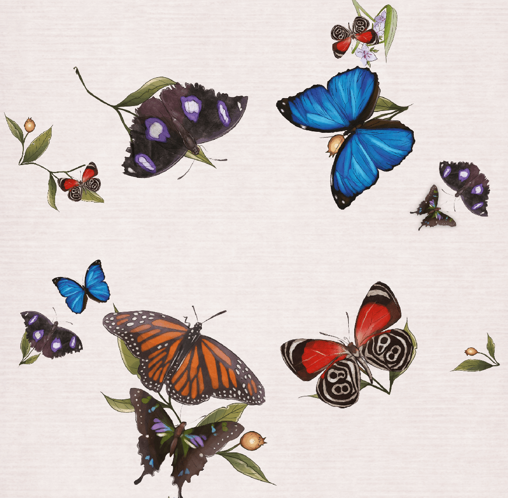 Papillons Célestes - FR